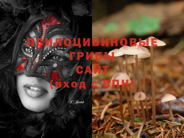 шишки Апатиты