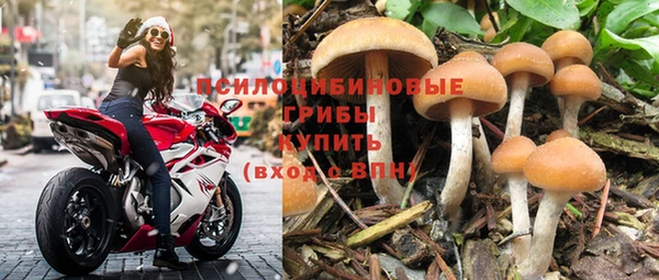 spice Верея