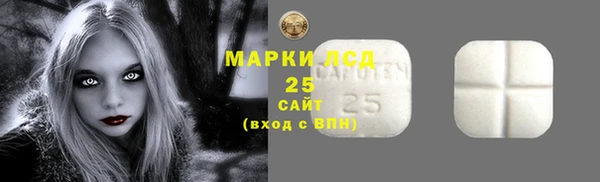 мдпв Снежинск