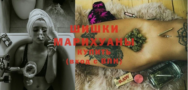 spice Верея
