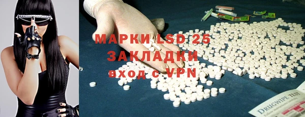spice Верея