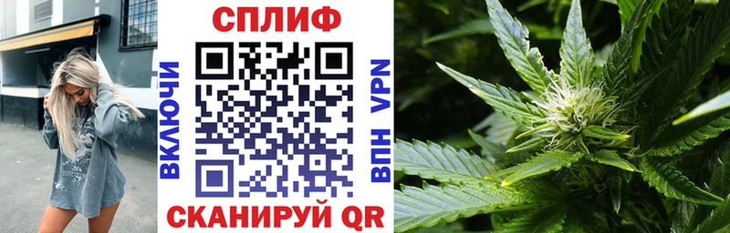 хочу наркоту  Высоцк  Шишки марихуана планчик 